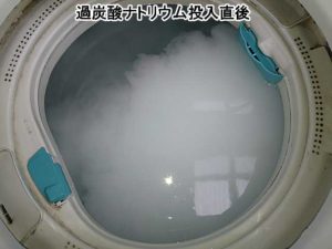 洗濯機 洗濯槽掃除 過炭酸ナトリウム 酸素系漂白剤